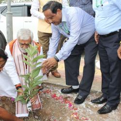 Plantation of tree by Hon'ble Minister